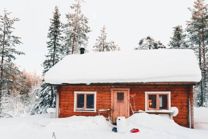 Winter Woes Part One Help My Garage Door is Frozen to the Floor - ASAP Garage Door and Gate Repair