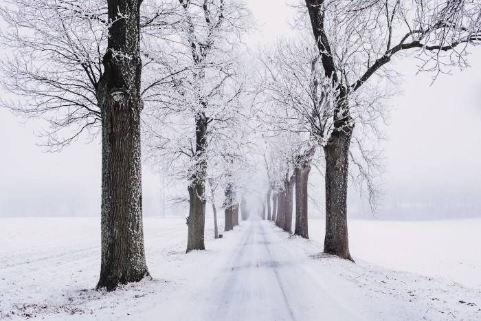 Winter Woes, Part Two Help My Automatic Garage Door is Stuck Open or Shut - ASAP Garage Door and Gate Repair