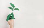 5 Tips for Making Your Garage More 'Eco-Friendly’