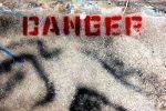 Alert: Danger in Your Garage!